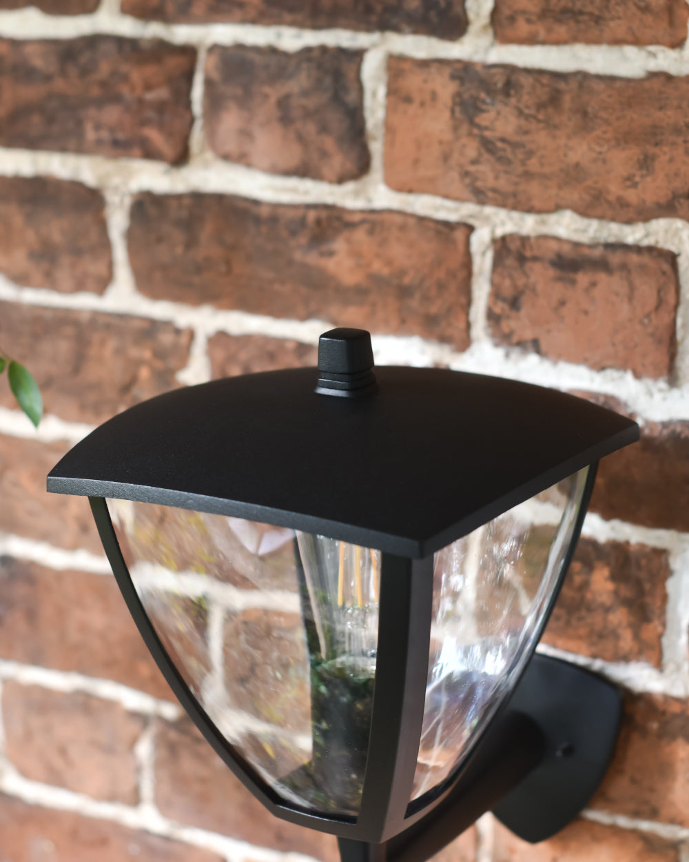 Matte black canopied roof 
