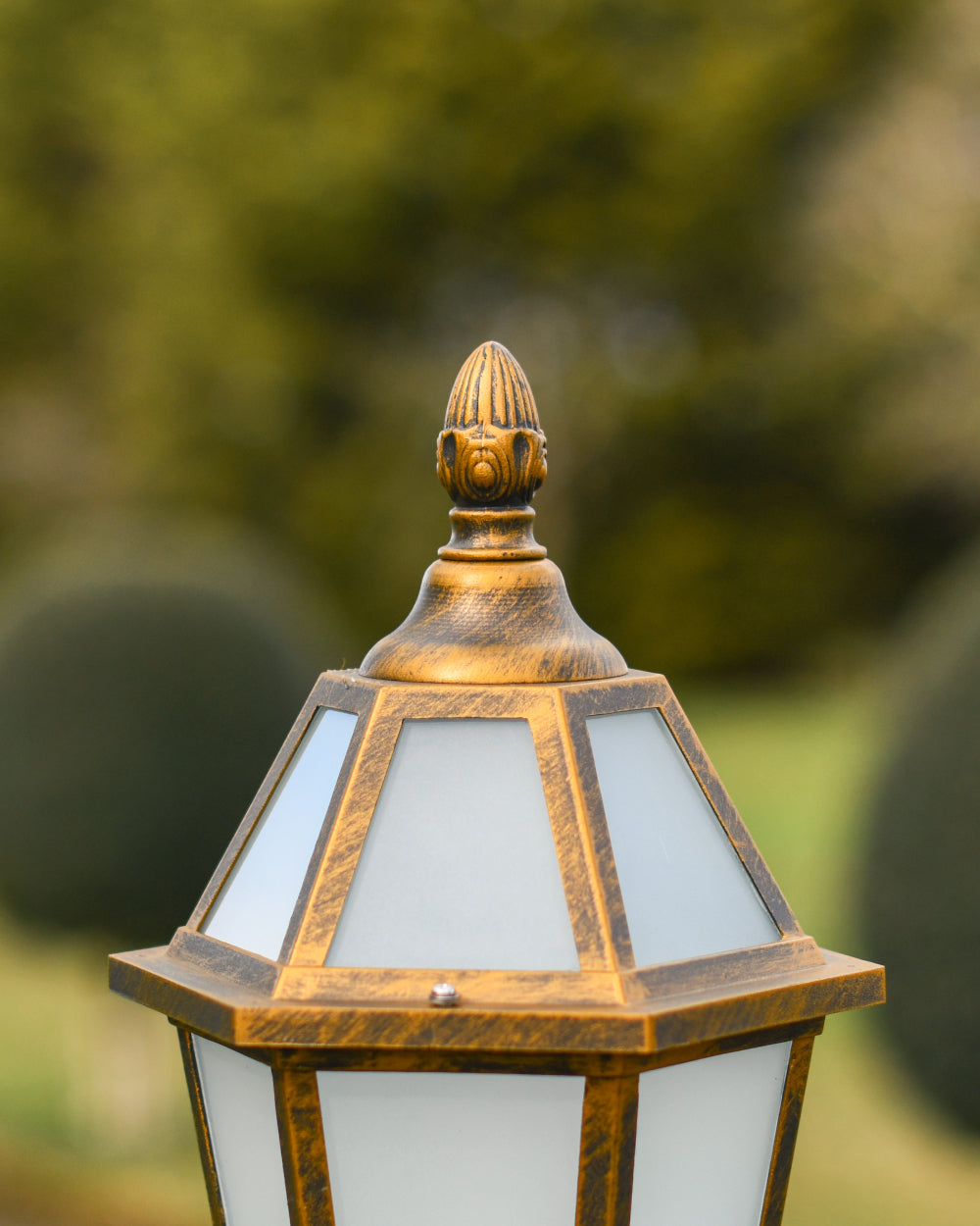 Ornate lantern head 