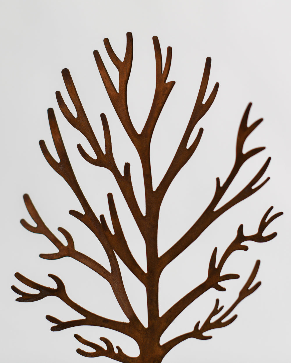 Tree silhouette