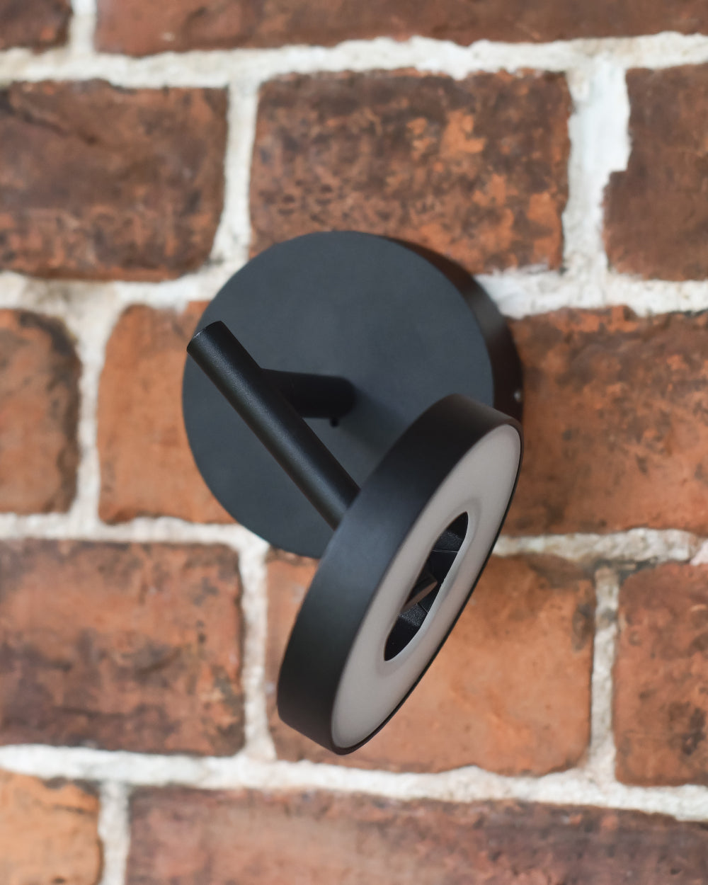 Moveable wall light 