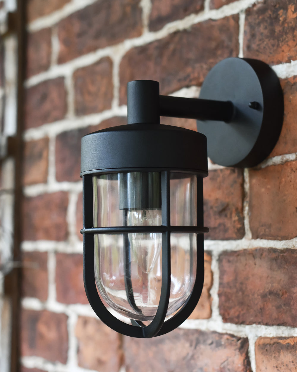 Caged wall light
