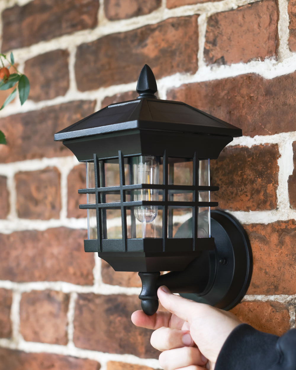 Caged bottom-fix wall light 