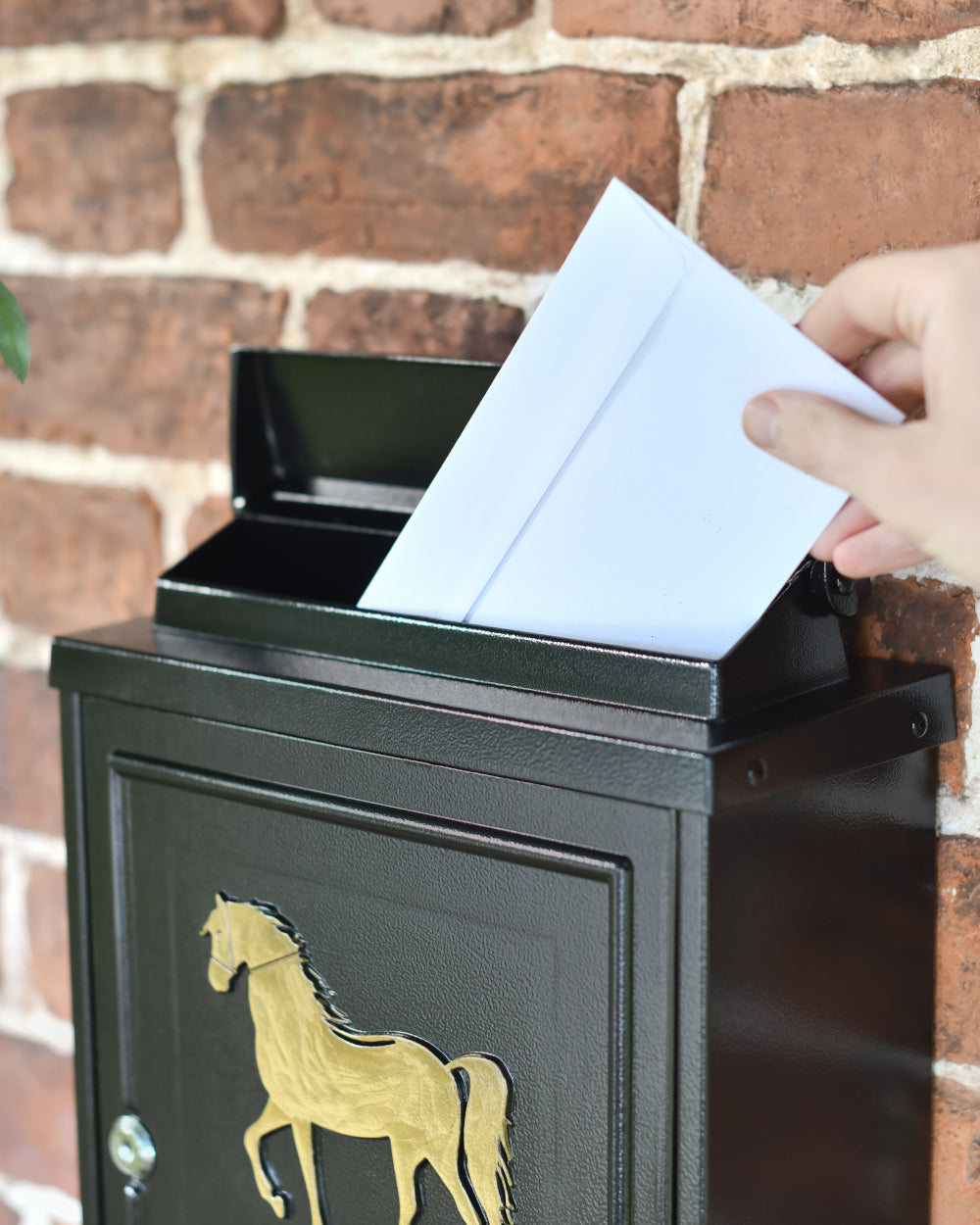 Liftbale aperture mail box