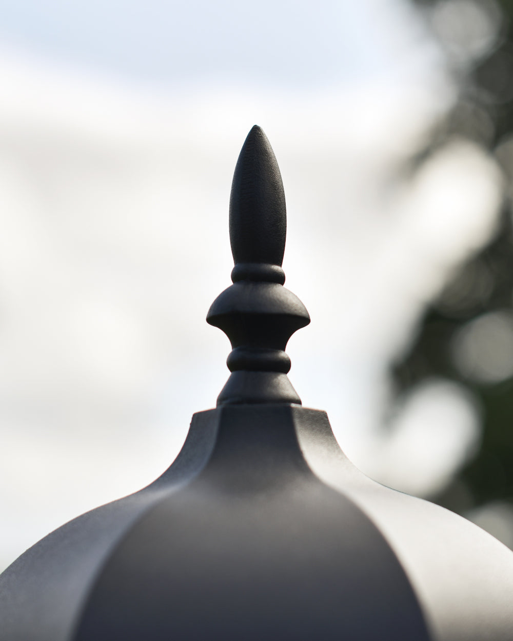 Ornate roof 