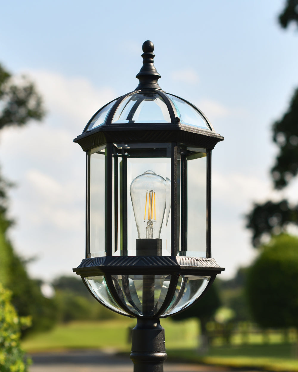 Bird-cage inspired light 