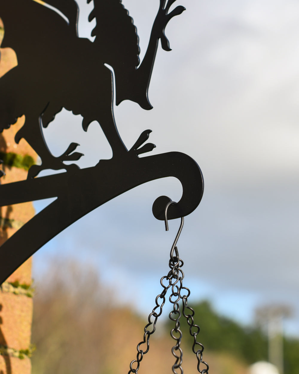 Hanging basket arm 