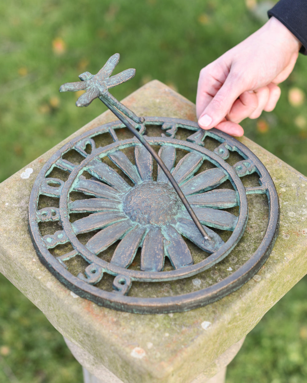 Life-size scale of dragonfly sundial 