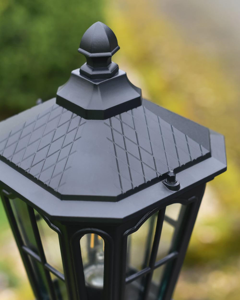 Ornate matte black roof 