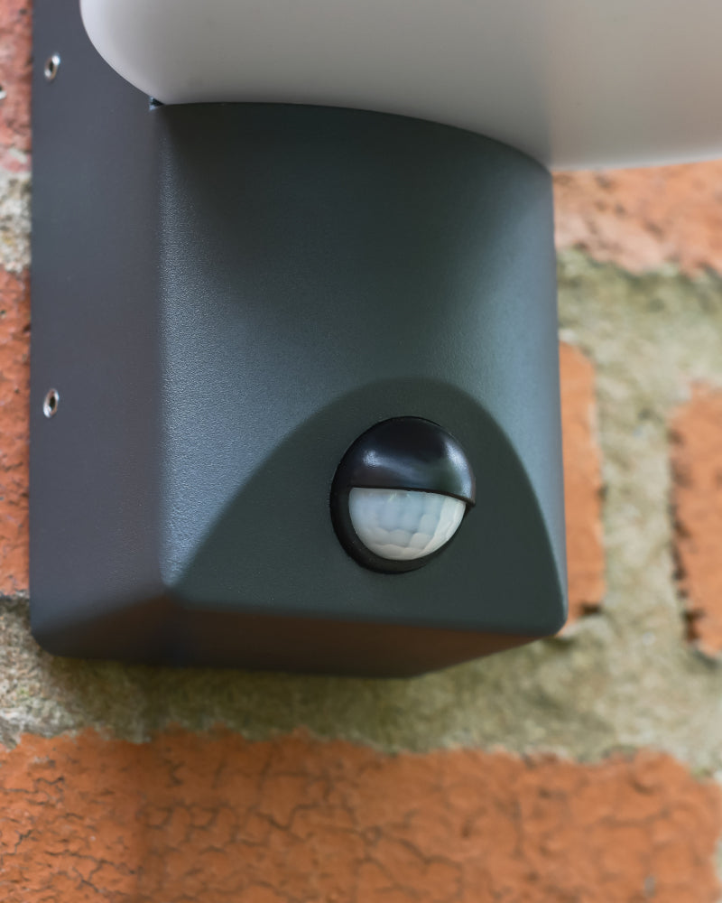 Magnified view of the PIR sensor 