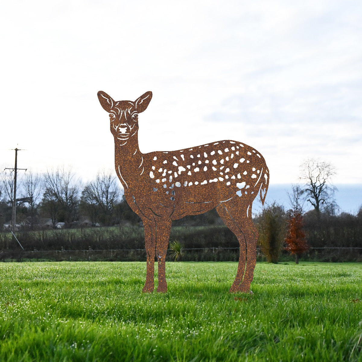 Fallow Doe Garden Sheet Steel Silhouette In Garden Setting