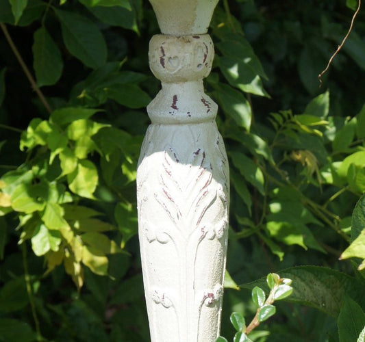 Queen’s Rose Floral Bird Bath