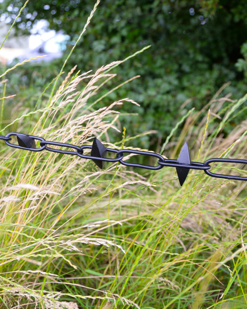 The spiked black chain in situ