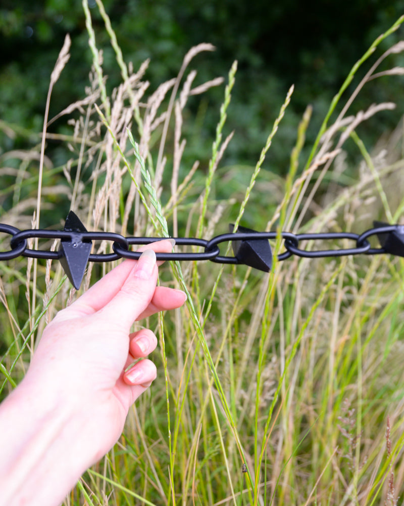 Life size scale of the alternate spiked chain