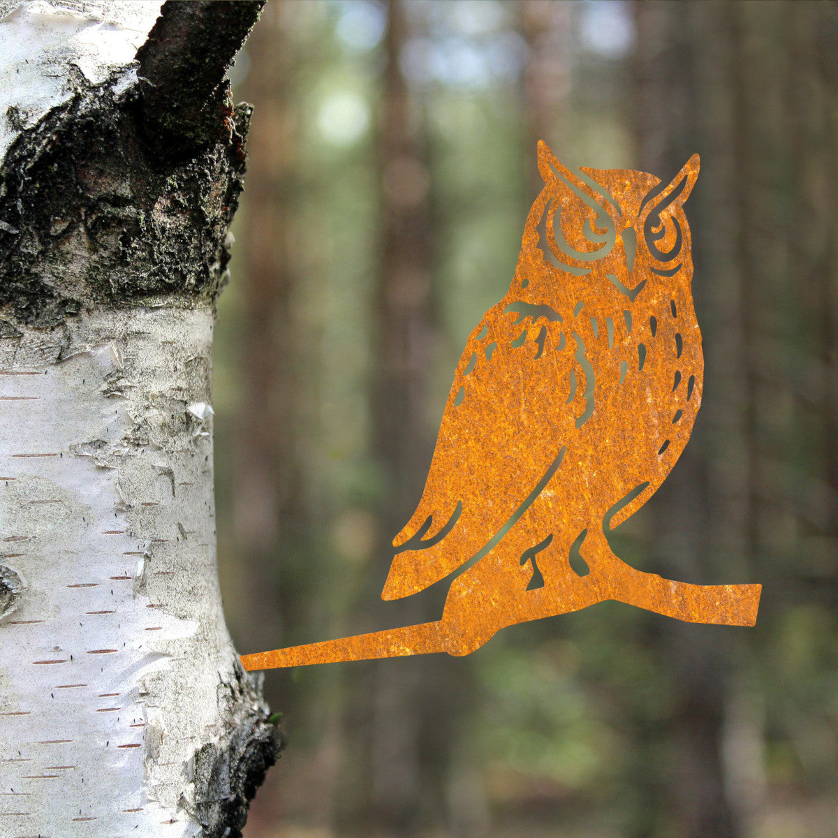 The owl inserted into a light tree