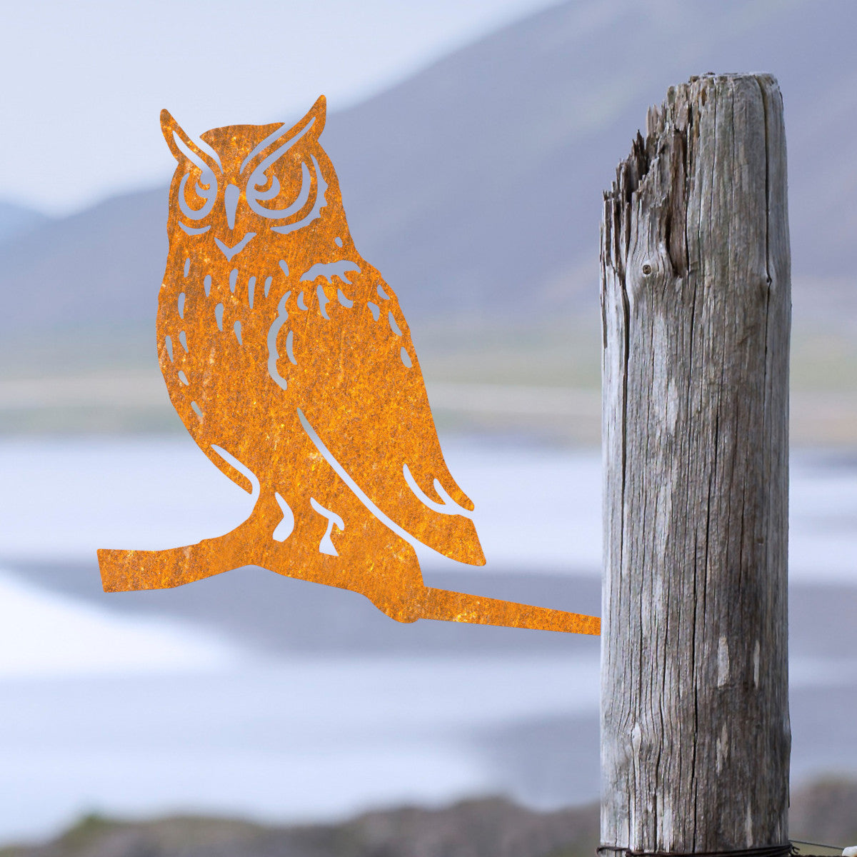 The rustic owl spiked into a piece of wood