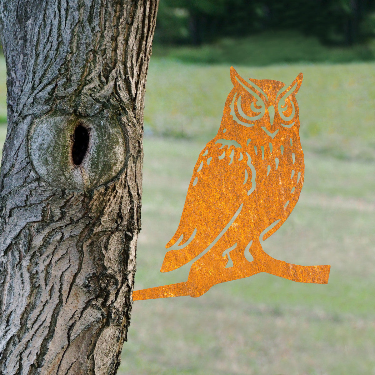 The ornate rustic owl spiked into a tree