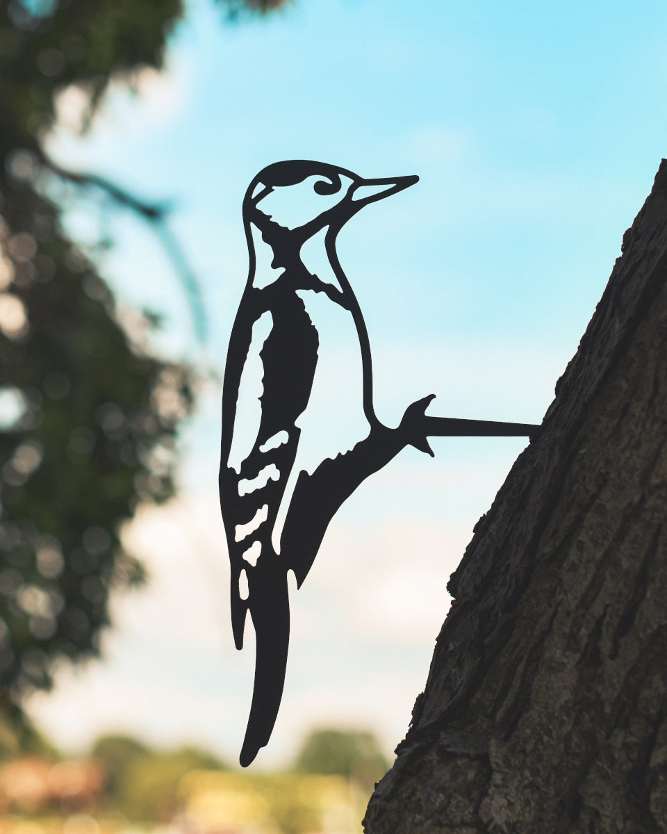 Great Spotted Woodpecker Black Tree Spike