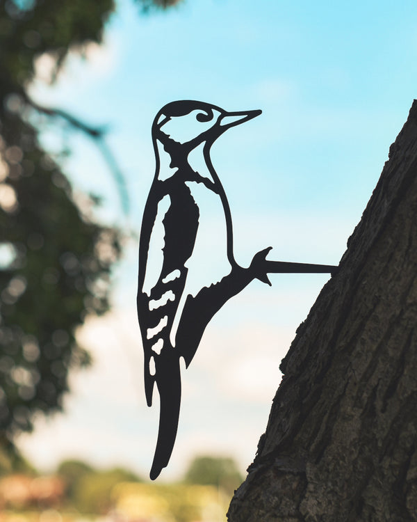 Great Spotted Woodpecker Black Tree Spike