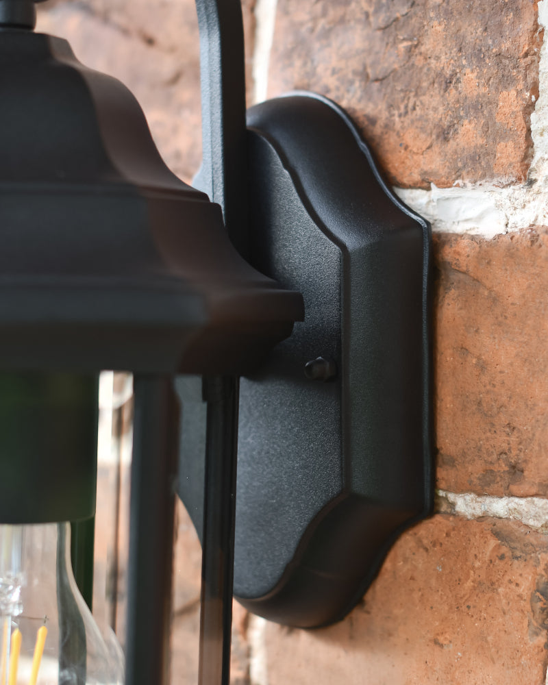 Magnified view of the black backplate 