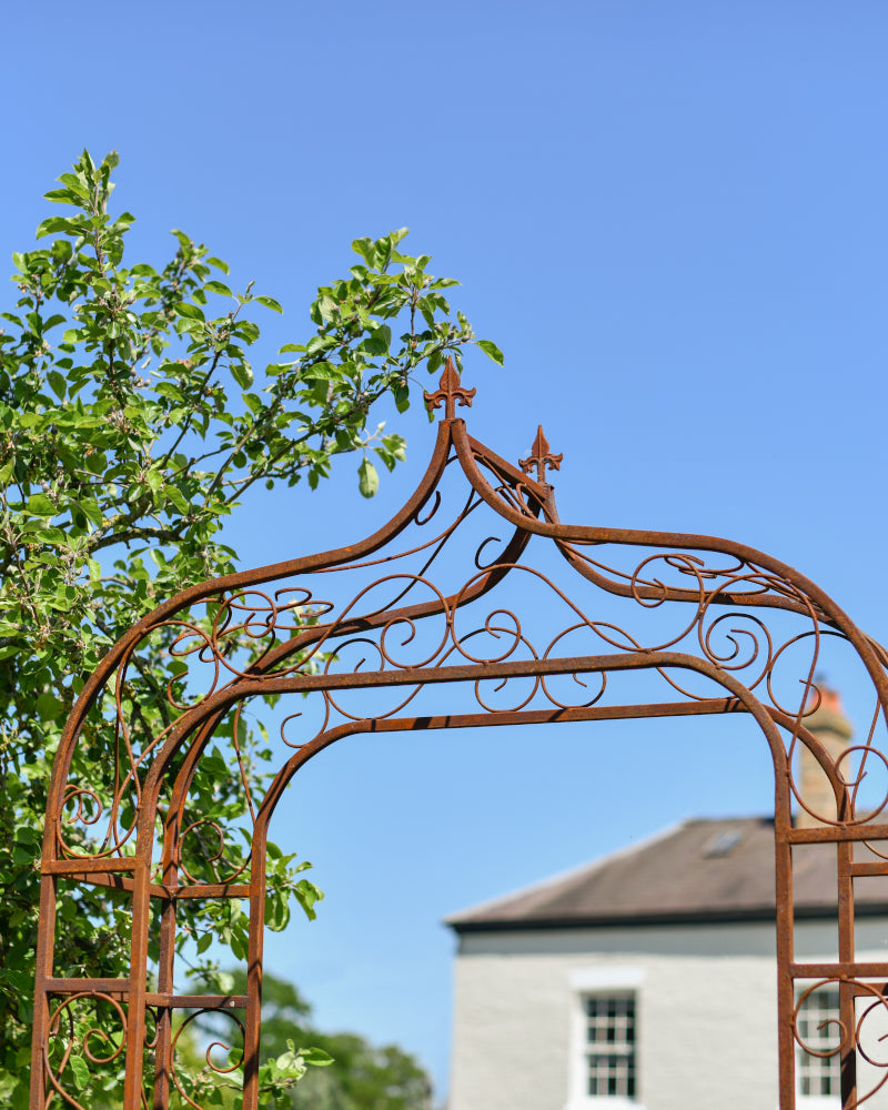 Magnified view of the rose arch apex