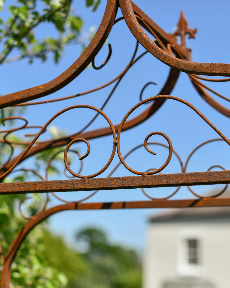 View of the coiled edge 
