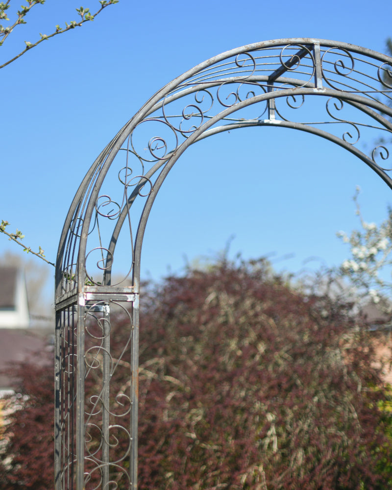 Close up of the natural rose arch