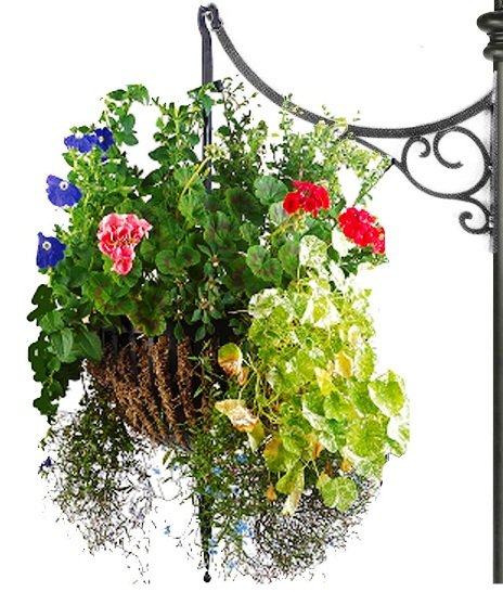 Hanging basket pole bracket close up