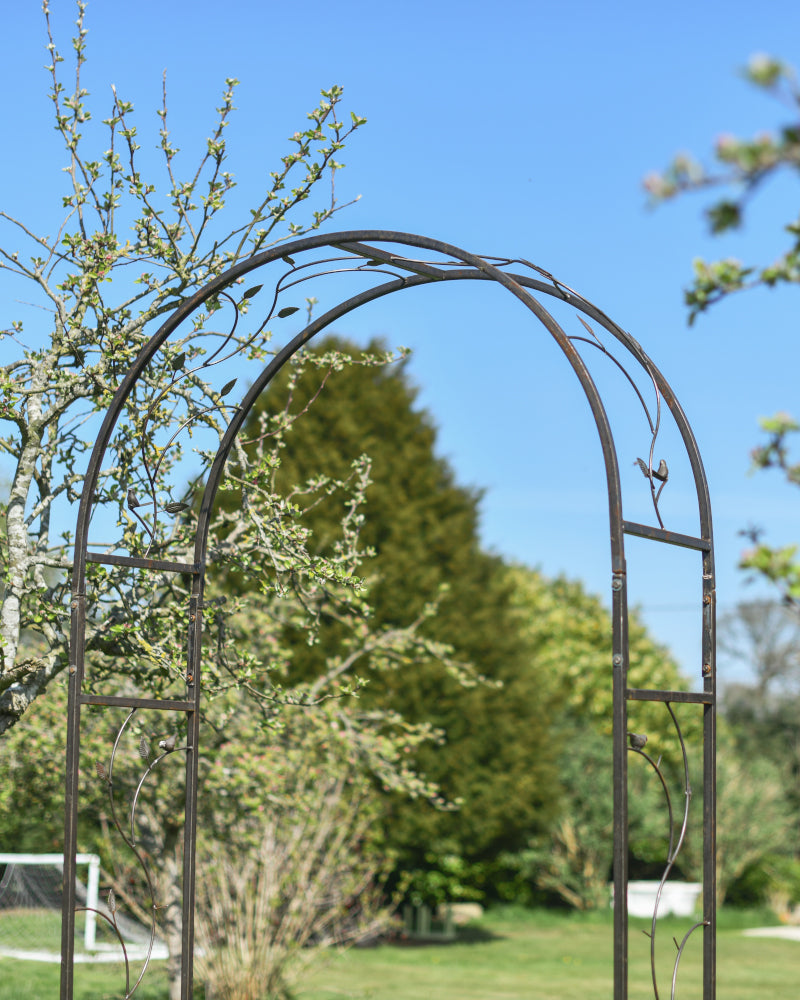 View of the rose arch apex 
