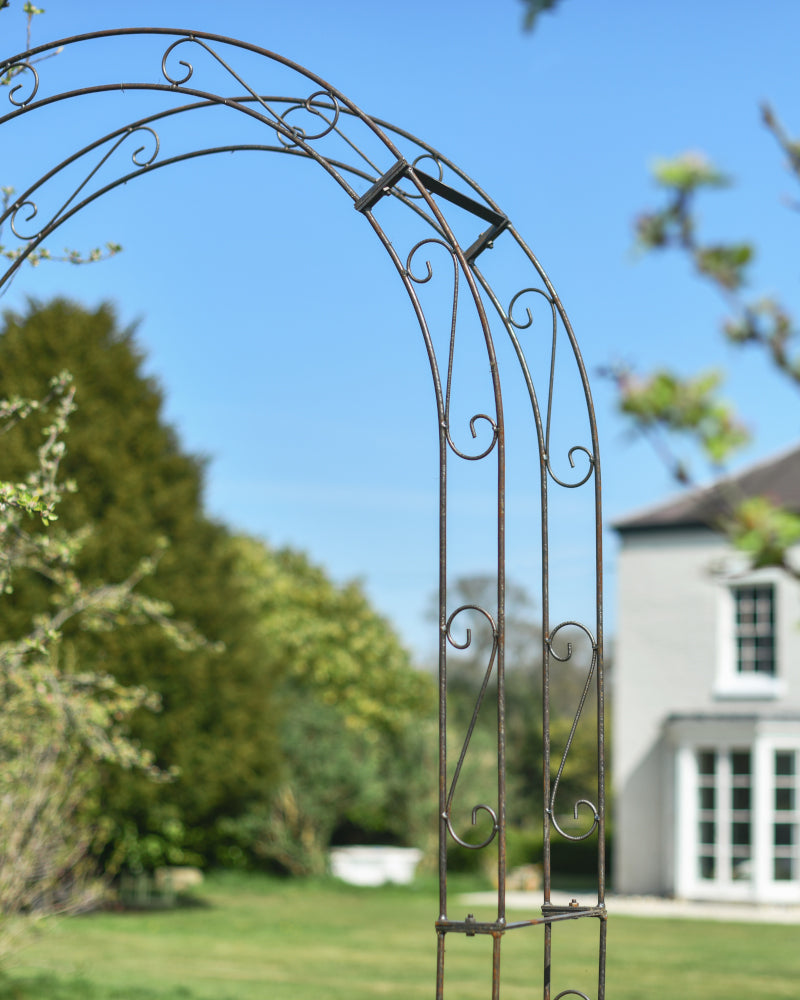 Side profile of the coiled rose arch