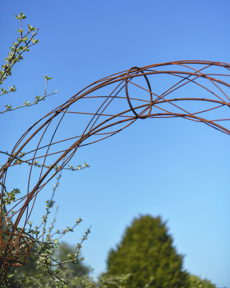 Close up of the rustic rose arch apex 