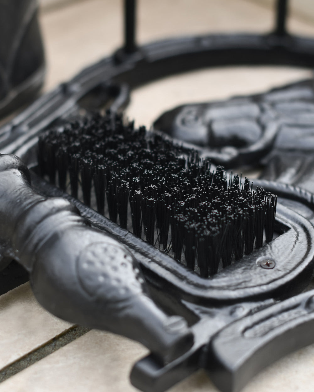 Thick bristled brush 