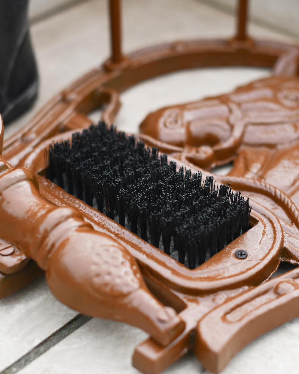 Thick bristled boot cleaner 