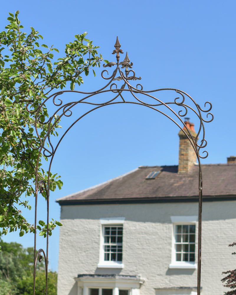 View of the rose arch apex