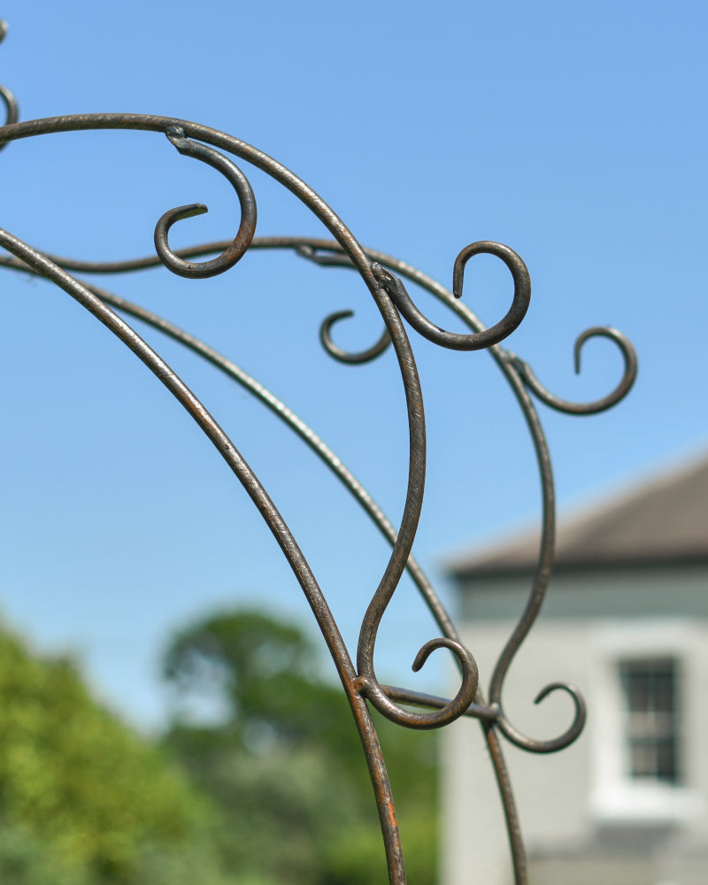 Magnified view of the coiled edges