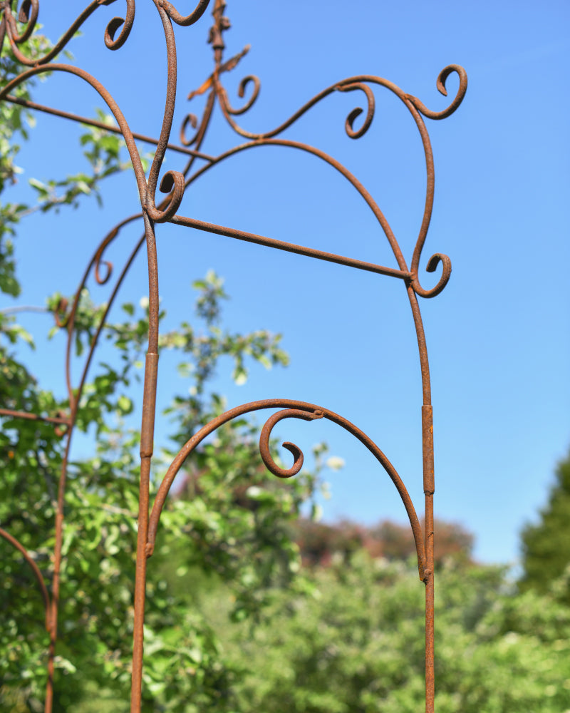 Close up of the coiled perimeter