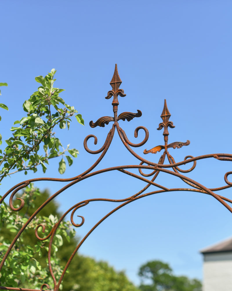 Close up of the regal edge