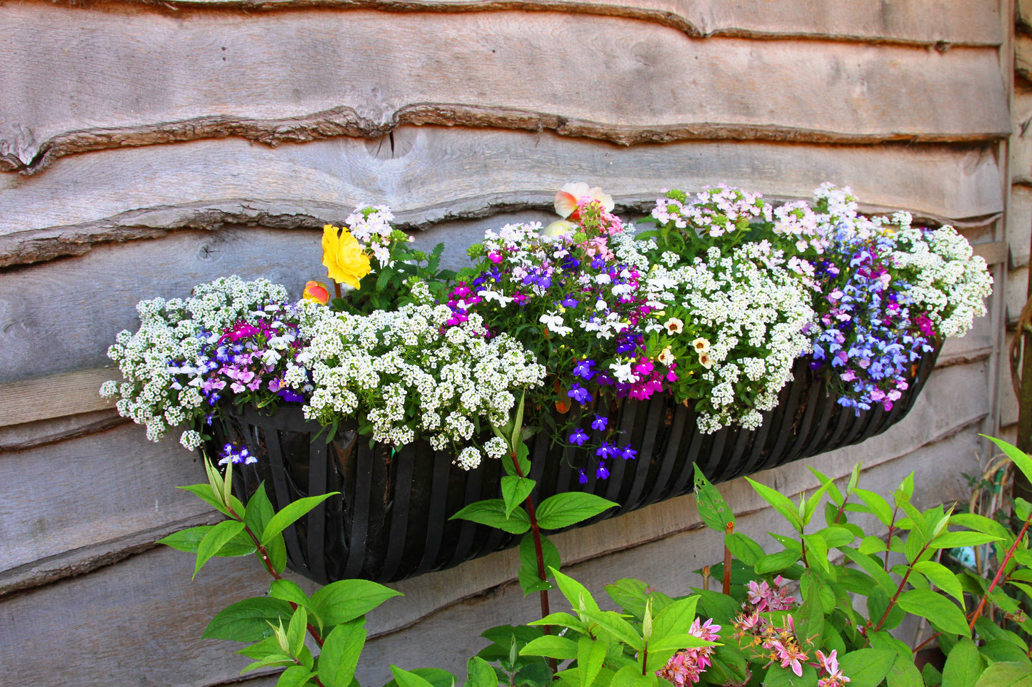 Rural Hay Trough Flower Planter