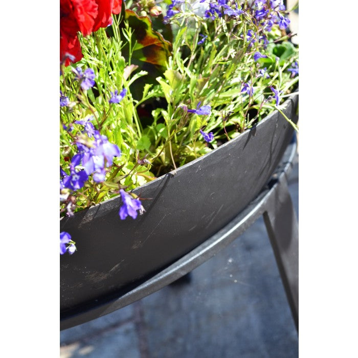 Iron Kadai Fire Bowl Being Use as a Flower Planter