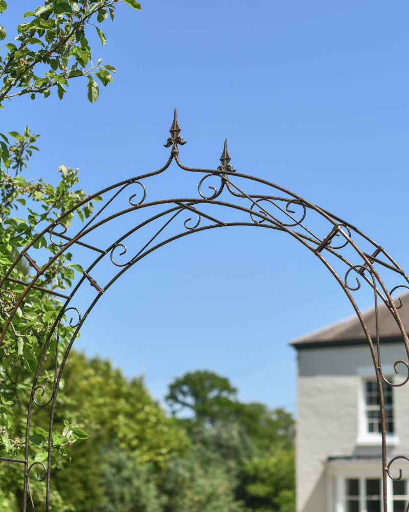 View of the rose arch apex