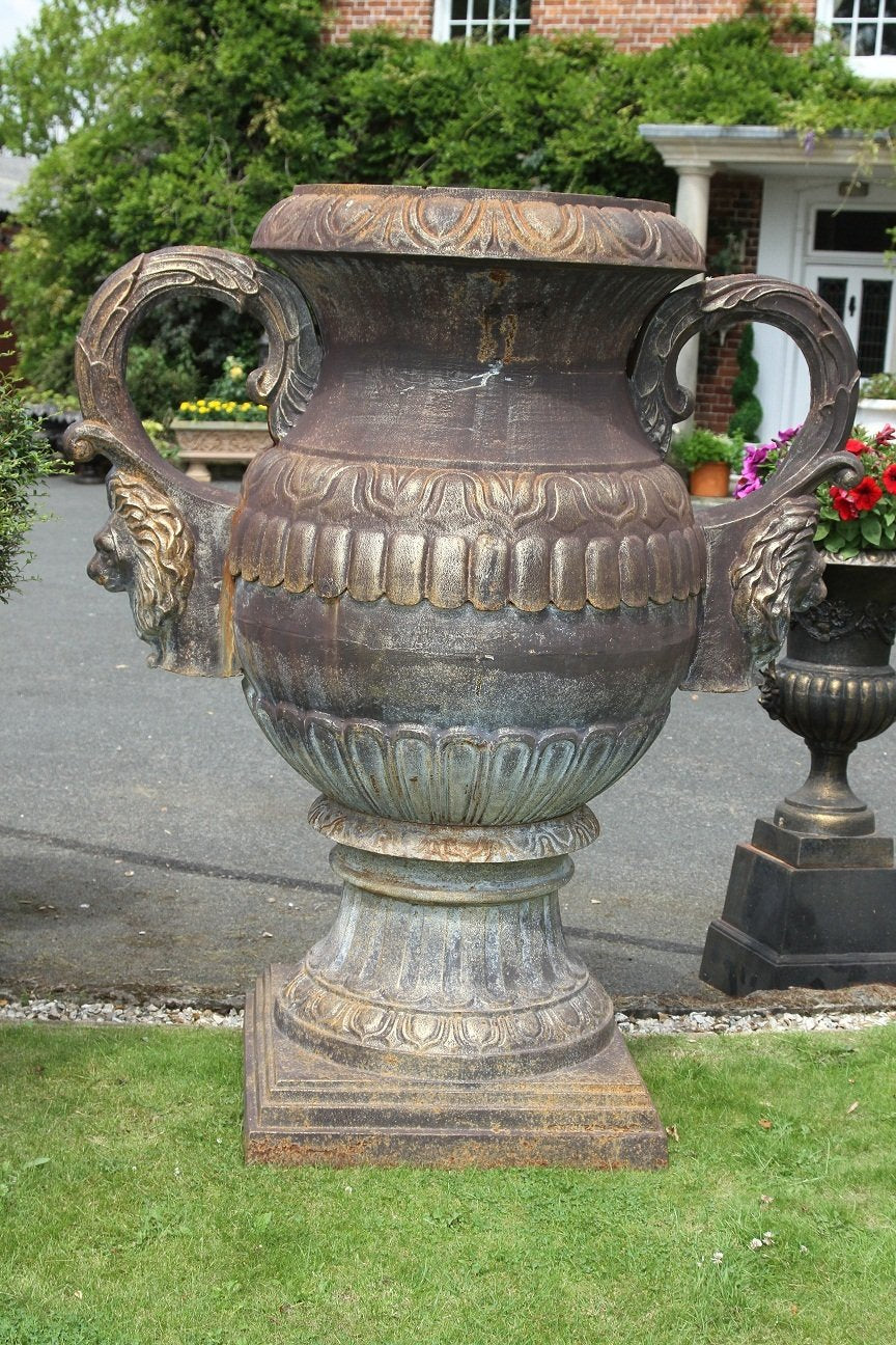 large cast iron urn planter outside