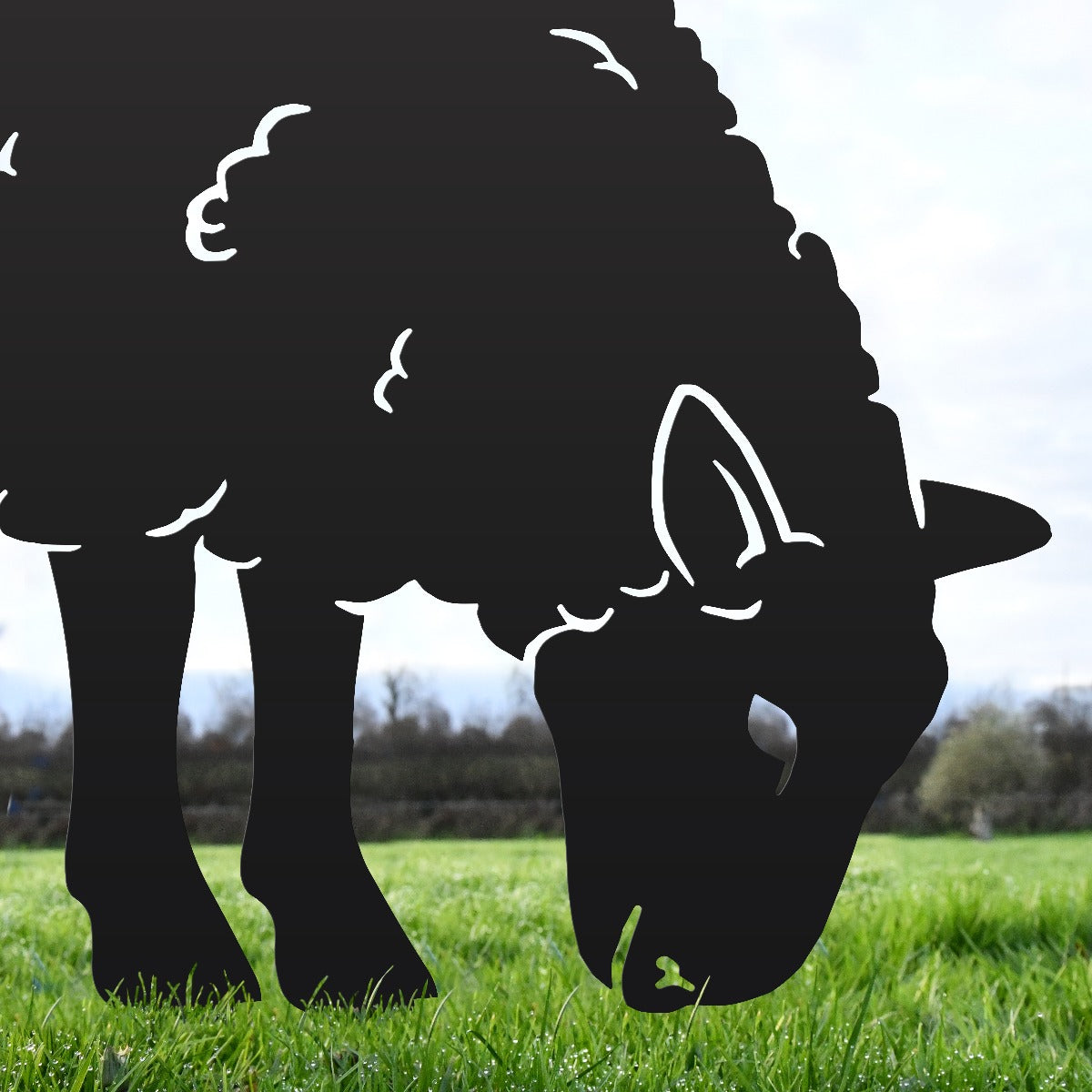 Ewe Sheep Feeding Garden Sheet Steel Silhouette In Black
