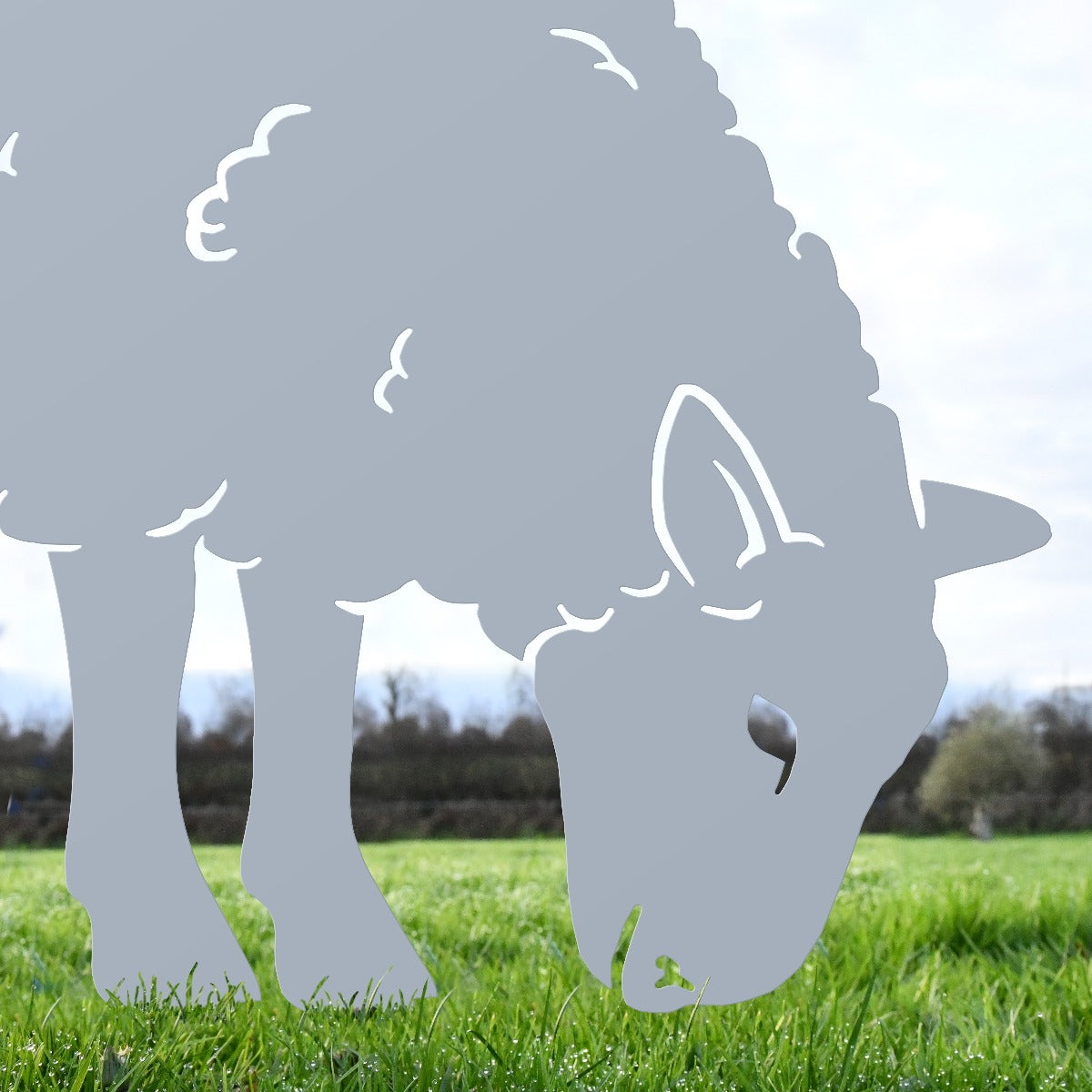 Close Up Of Feeding Ewe Sheep Garden Sheet Steel Silhouette In Silver