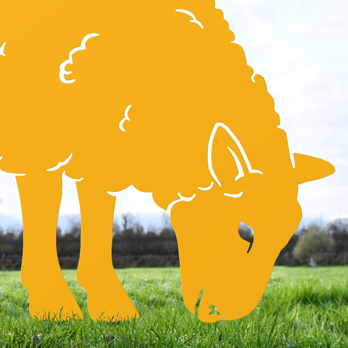 Feeding Ewe Sheep Garden Sheet Steel Silhouette In Yellow Close Up