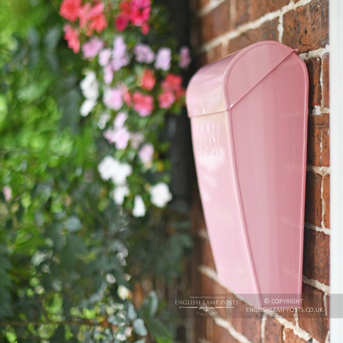Baby Pink Contemporary Wall Mounted Post & Parcel Box
