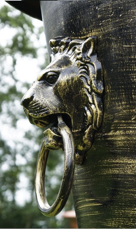 lion close up again in garden