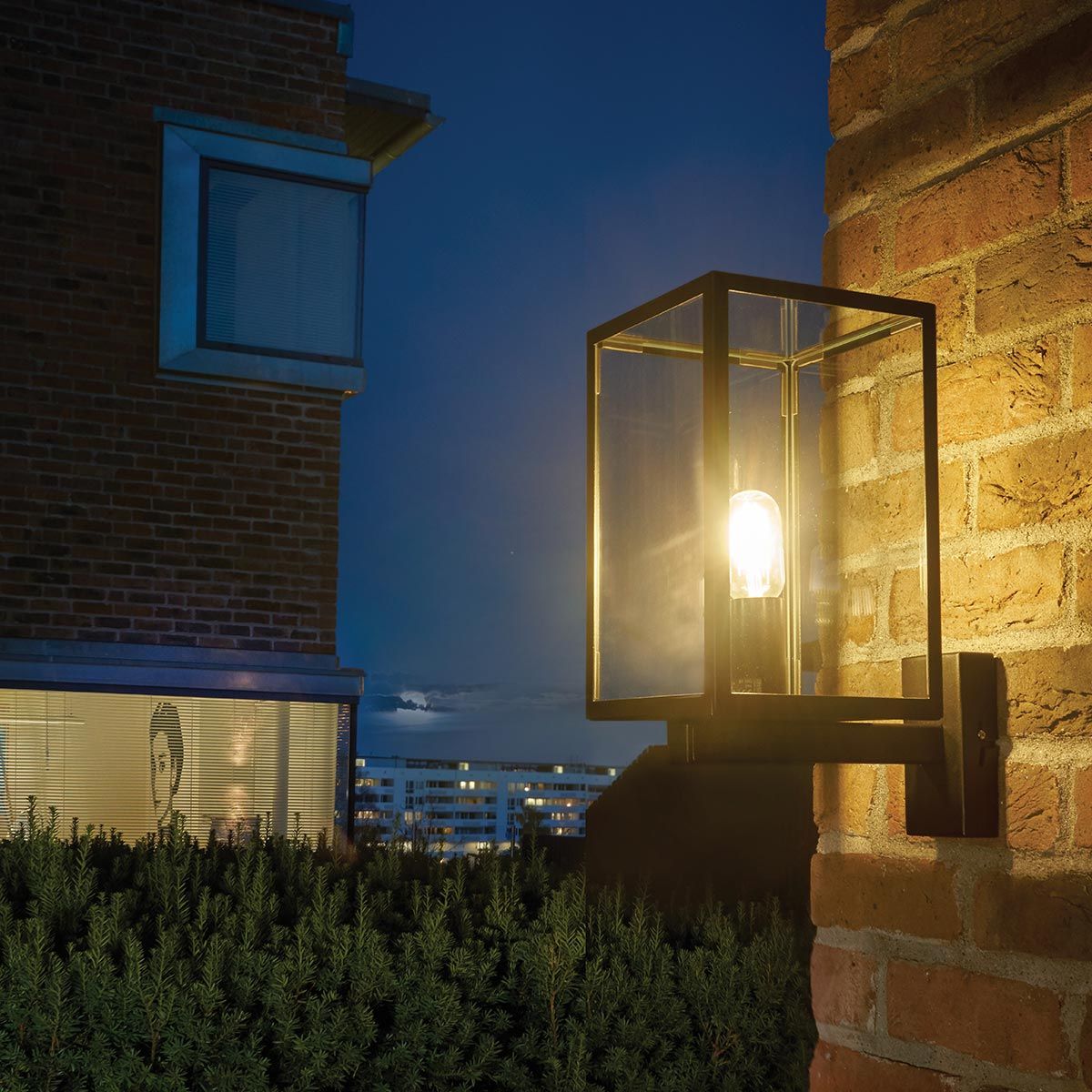 reine wall light up in situ