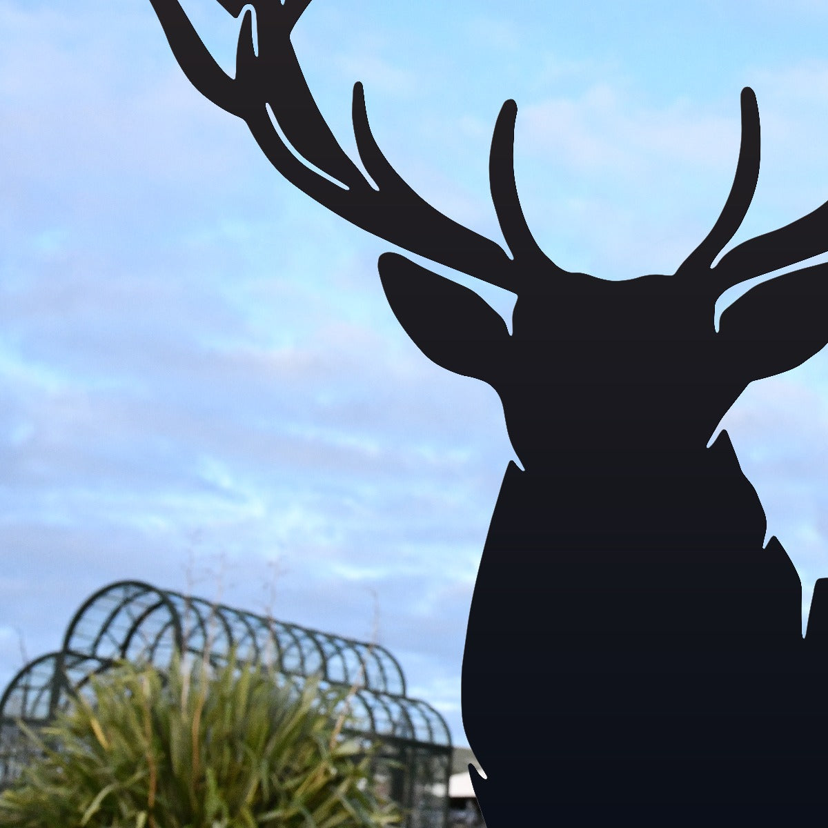 Large Stag Garden Sheet Steel Silhouette In Black Close Up