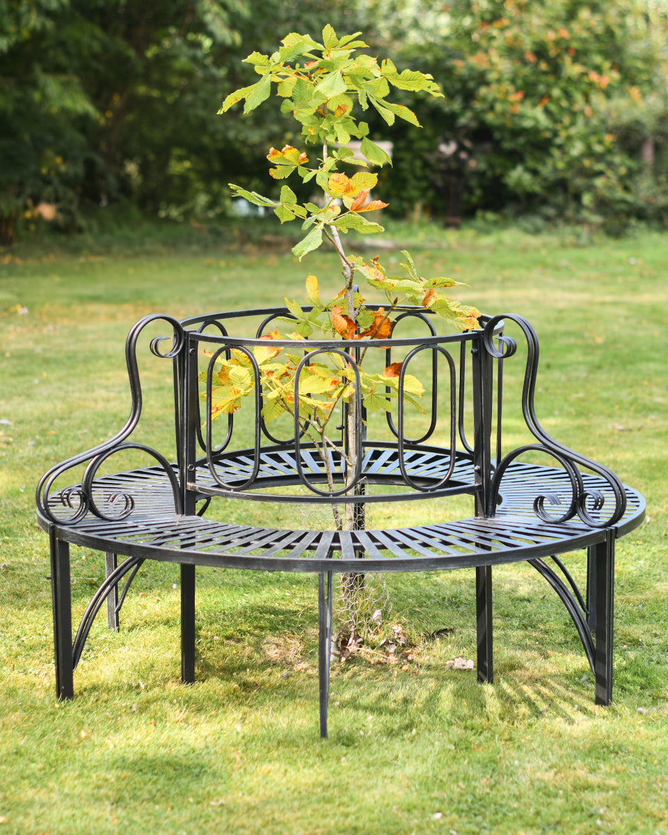 'Oxwich' Scrolled Black Tree Seat