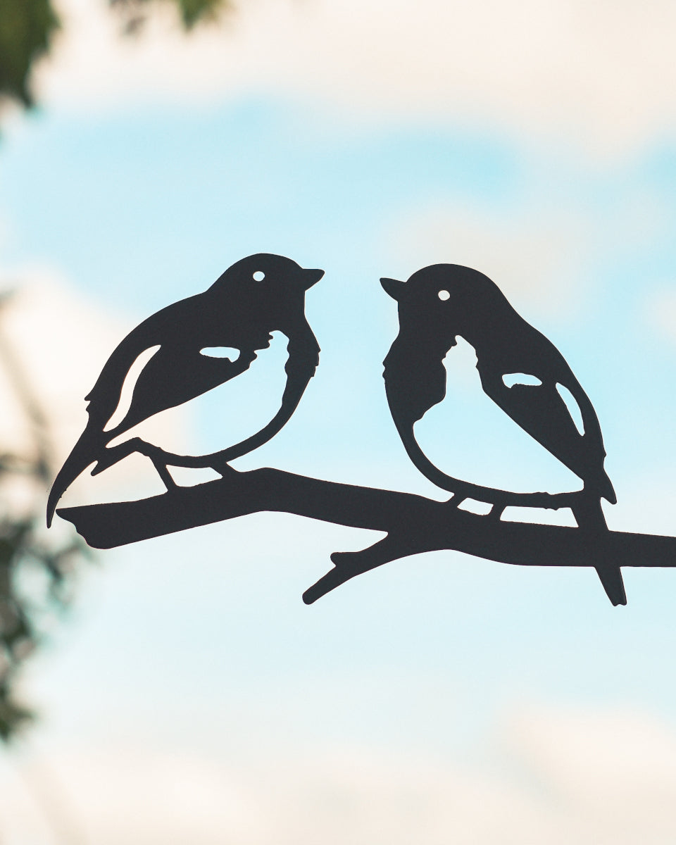 Close up of the two robins