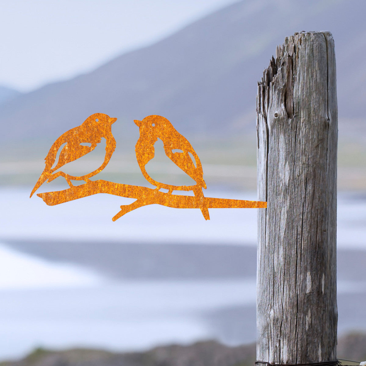 The pair of robins spiked into a piece of wood